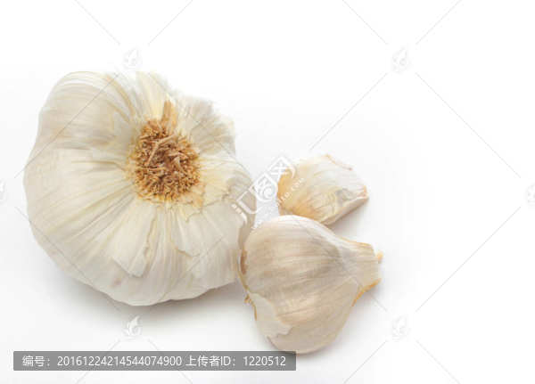 白底大蒜