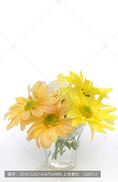 玻璃花瓶中的花群