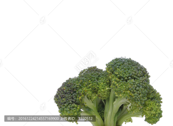 西蘭花特寫看起來像一棵樹