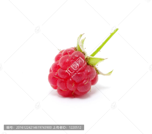 覆盆子