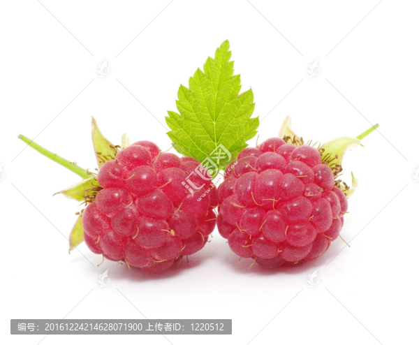 覆盆子
