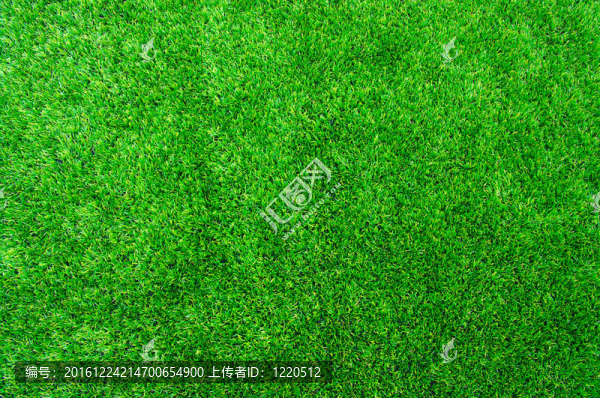 紋理的綠色草坪
