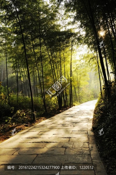 通路