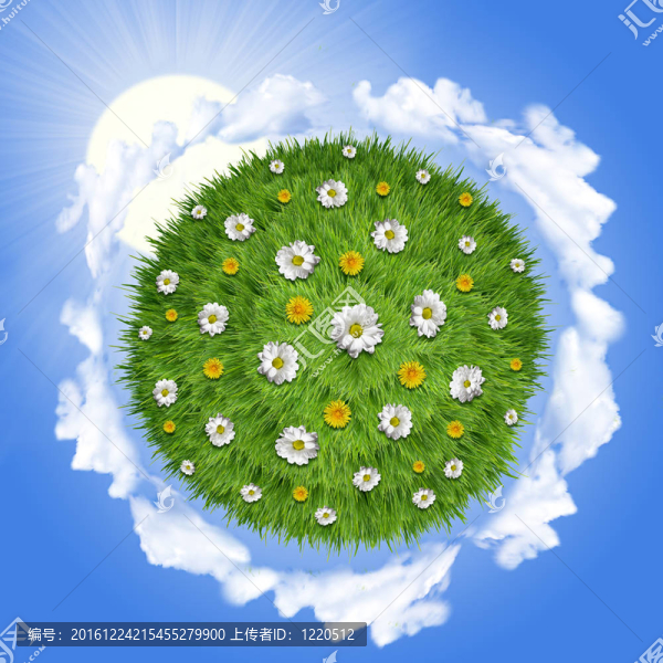 自然綠色草地太陽光