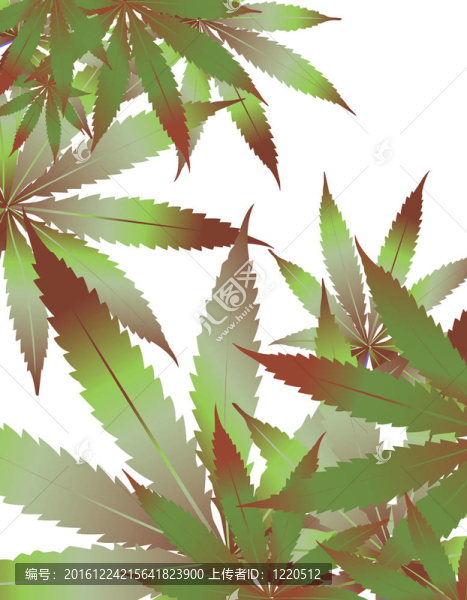 花的