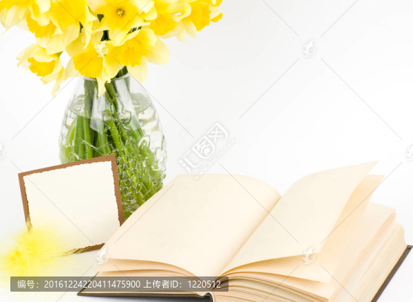 花瓶里的花