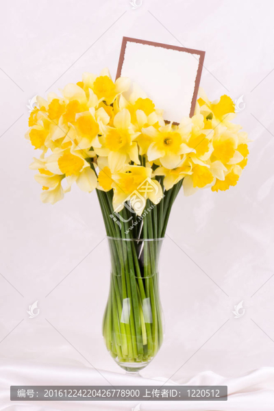 花瓶里的花