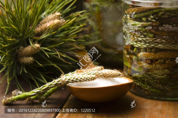 天然藥-松糖漿