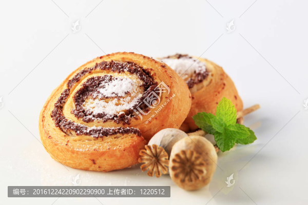 罌粟籽的蝸牛