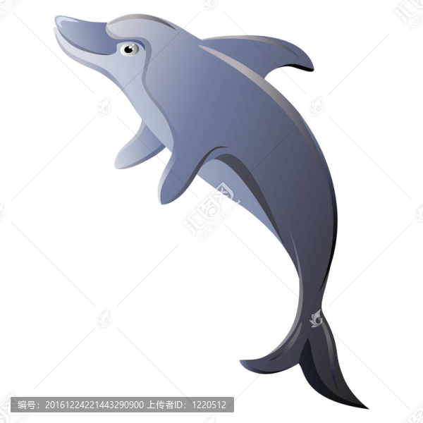 海豚