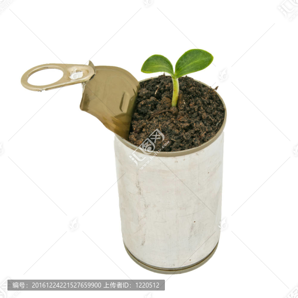 可分離綠化植物