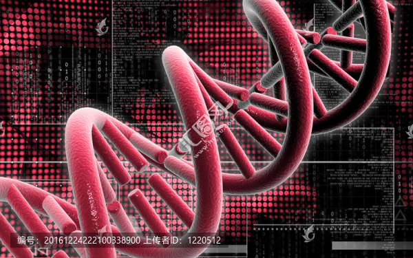 DNA