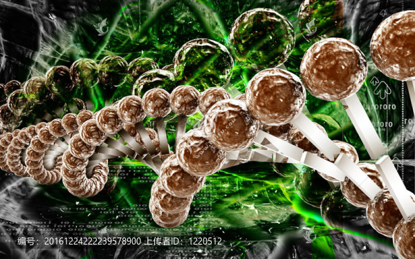 DNA