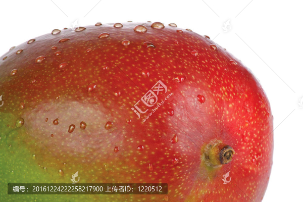 成熟芒果與白色背景水滴