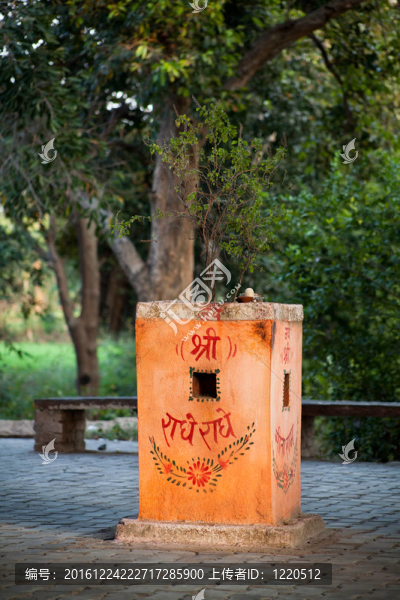 羅勒（羅勒）的基礎(chǔ)上