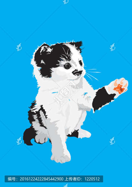 基蒂
