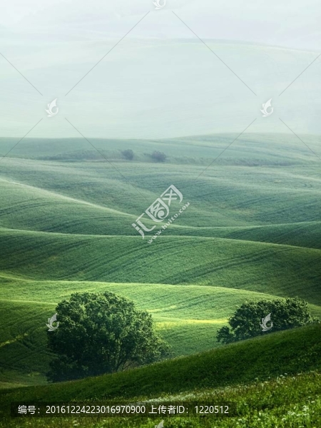薄霧中的托斯卡納丘陵景觀