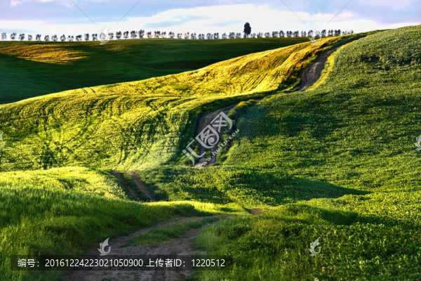 托斯卡納丘陵景觀