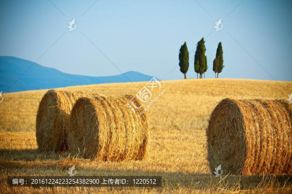 托斯卡納夏天的風(fēng)景