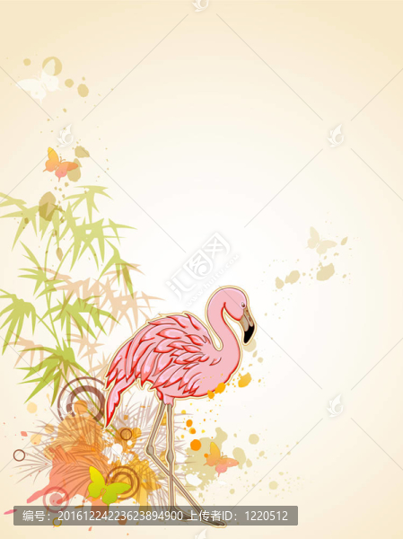 火烈鳥(niǎo)