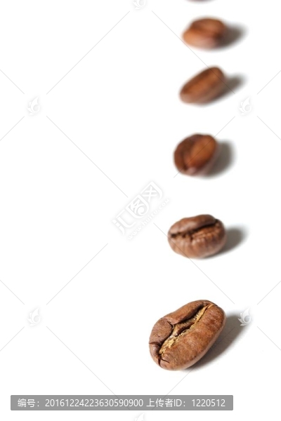 連續(xù)咖啡豆