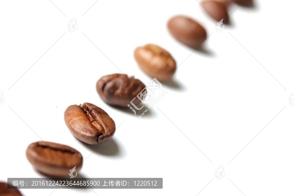 連續(xù)咖啡豆