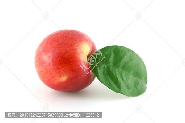 成熟的紅蘋果和綠葉