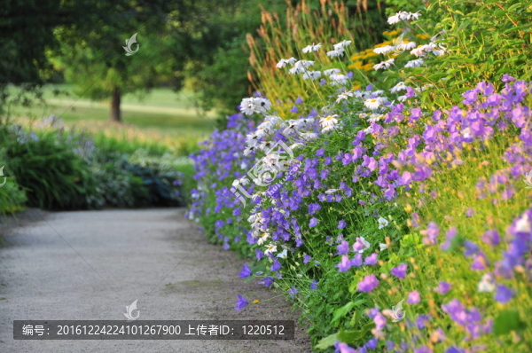 帶花緣的空路徑