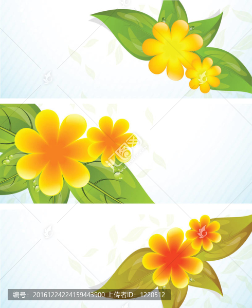 一套帶有鮮花的橫幅