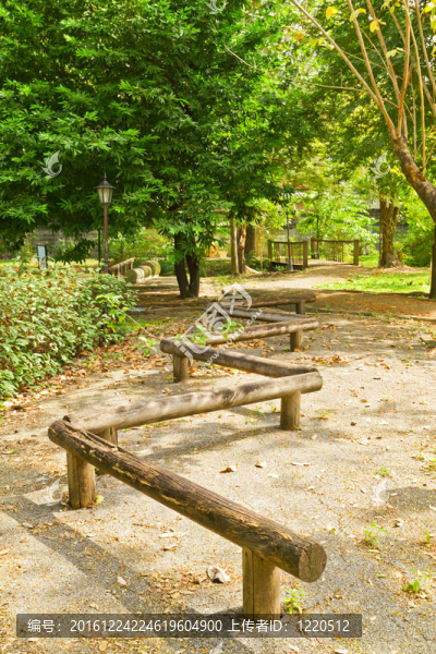 公園的木材運(yùn)動(dòng)