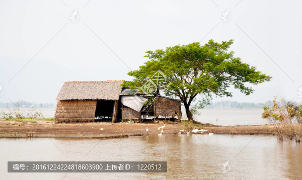 簡陋的小屋