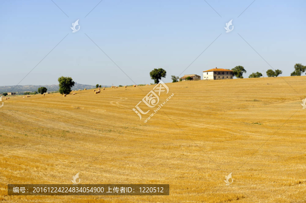拉齊奧大區(qū)夏季景觀（意大利）
