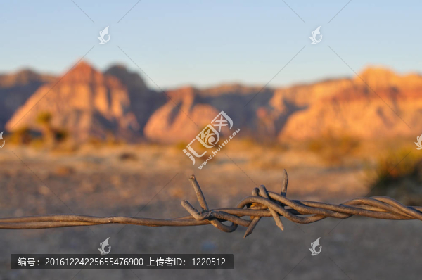 帶刺的