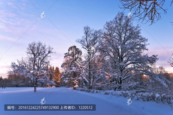 美麗公園冬季景觀