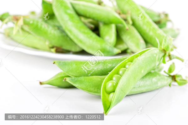 成熟的豌豆