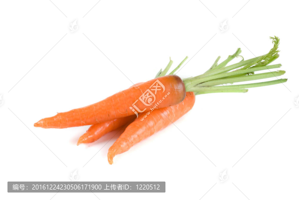 胡蘿卜