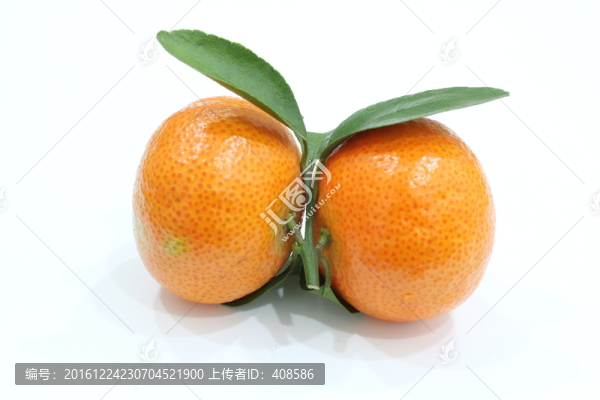 兩個(gè)桔子,帶葉的桔子