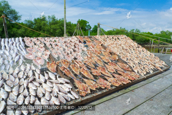 咸魚(yú)
