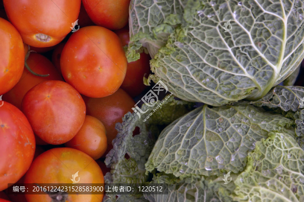 西紅柿和卷心菜