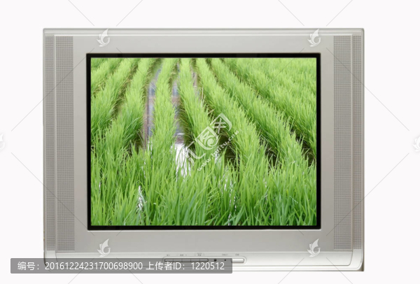 電視與Rice,Paddy,Display
