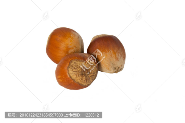 榛子殼
