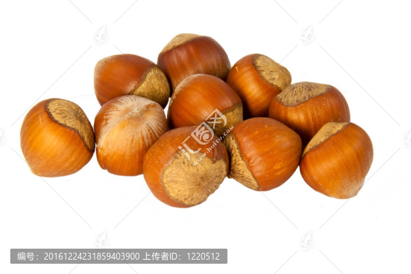 榛子殼