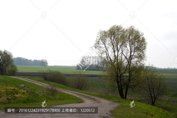 路村