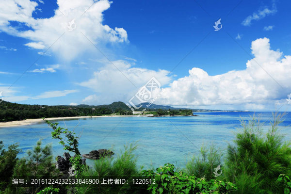 美麗的大海