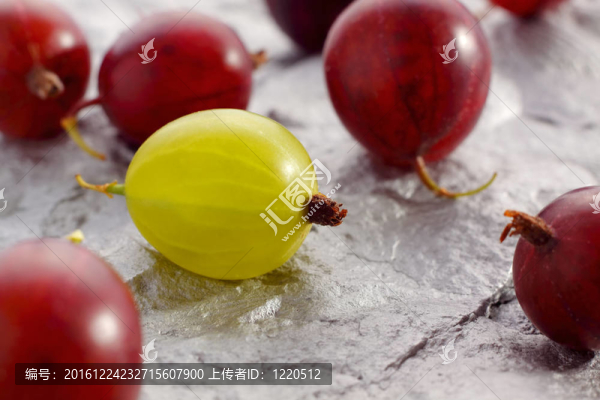 黃、紅醋栗
