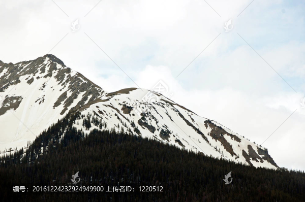 科羅拉多山