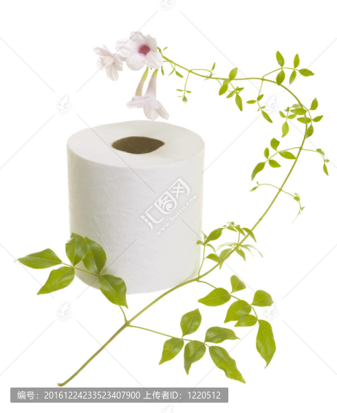 Flower衛(wèi)生紙
