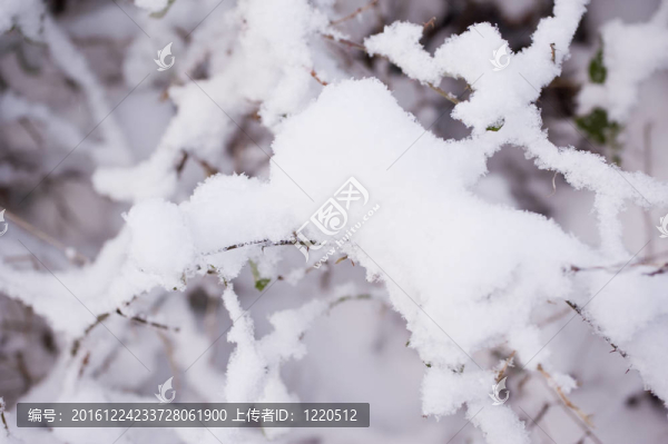 下雪的冬天