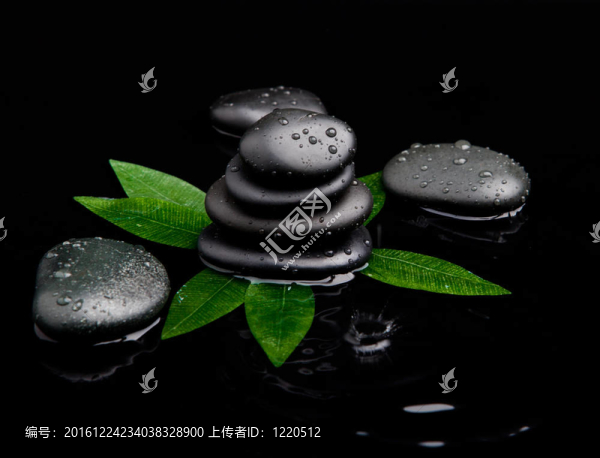 帶葉子的黑石頭。按摩石