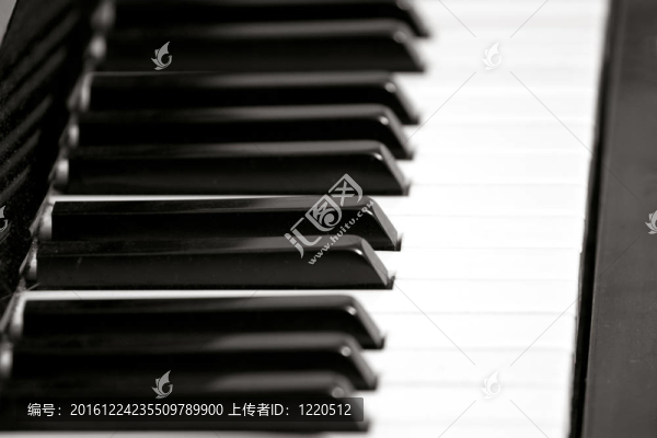 鋼琴鍵盤